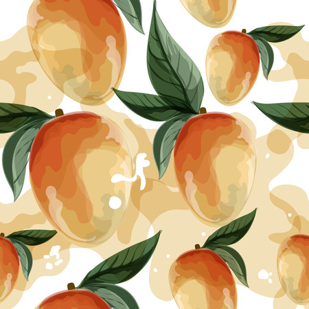Vector tropical fruit illustration