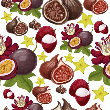 Vector tropical fruit illustrationのイラスト素材