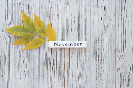 Part of the calendar with the month of November. A row is a yellow-green leaf. The composition is made on a textural wooden background.の写真素材