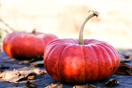 Bright orange pumpkins on an old wooden gray table with dry autumn leavesの写真素材