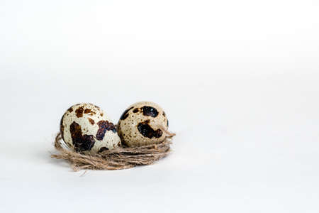 Quail eggs in a small nest of jute thread on a white background with copy spaceの写真素材