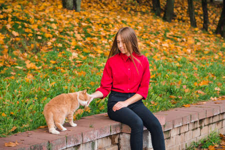 HORKI, BELARUS - OCTOBER 10 2020: A girl with blond long hair in a red blouse stroking a homeless red cat in an autumn park.のeditorial素材