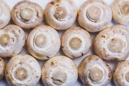 Young champignon mushrooms laid out in rows, backgroundの写真素材