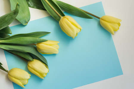 Bouquet of yellow tulips and blue lettering paperの写真素材