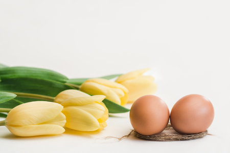 Two brown chicken eggs and yellow tulips on a white backgroundの写真素材