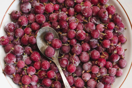 Frozen berries of red gooseberries with hoarfrost and a spoon top viewの写真素材