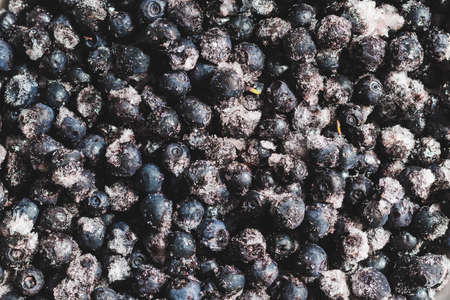 Frozen blueberries with ice crystals, backgroundの写真素材