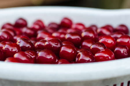 Beautiful red delicious cherries with white bowl selective focusの写真素材