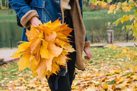 Bouquet of yellow maple leaves in the hand of a girl in an autumn parkの写真素材