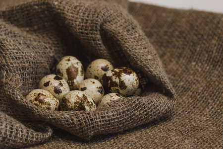 Quail eggs on coarse linen fabric, selective focus