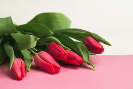 Bouquet of pink tulips on rose lettering paper, selective focusの写真素材