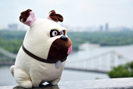 pug toy cityの写真素材