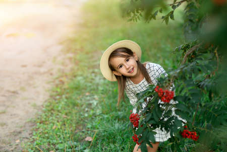 A little girl in a hat peeks out from behind branches with red rowan trees.の写真素材