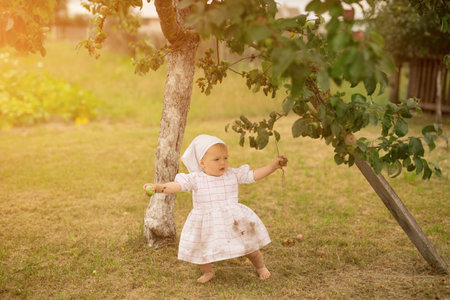 A little girl learns to walk unsteadily while standing under an apple tree. A dirty barefoot child in the village.の写真素材