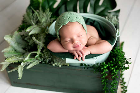 Newborn sweetly sleeps in a basket with green plantsの写真素材