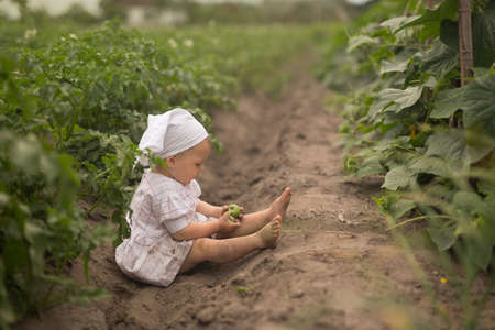 Child in a field where cucumbers grow. Fresh vegetables from the garden. Plantation of planted potatoes. The key to healthy, high - quality seedlings is a nutritious soil with organic fertilizers.の写真素材
