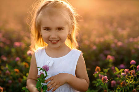 Girl in a clover field at sunset holding flowers in her handsの写真素材