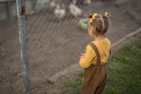 The child stands at the aviary with chickens. A girl with a funny hairstyle.の写真素材