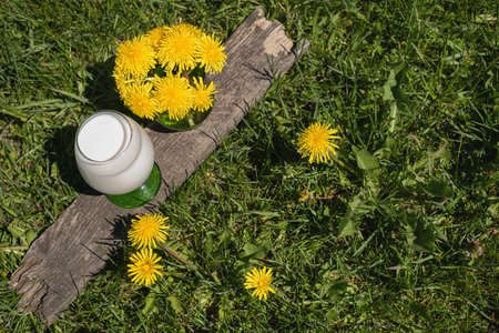 A glass of fresh cow's almond milk sits next to a bouquet of dandelions on the green lawn. Spring flowers bloom. Healthy eating. Dandelion Wine. An old wooden board. Blooming dandelions in the meadowの写真素材