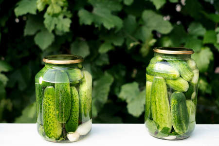 Two cans of canned cucumbers and garlic stand on a white table against the background of green grape leavesの写真素材