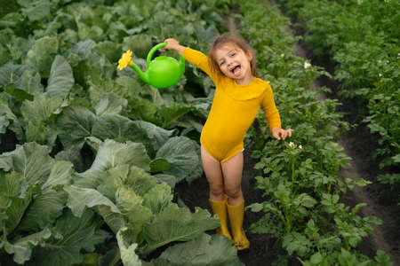 A happy little girl is waving a watering can with water watering a vegetable garden with cabbage and potatoes. Watering plants during a drought for a good harvest. Little helper gardenerの写真素材