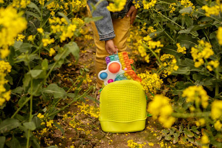 The child takes a popit toy in the form of a puzzle from the backpack. A rucksack full of plastic toys. A girl plays in a rapeseed field with simple dimple and pop it toyの写真素材