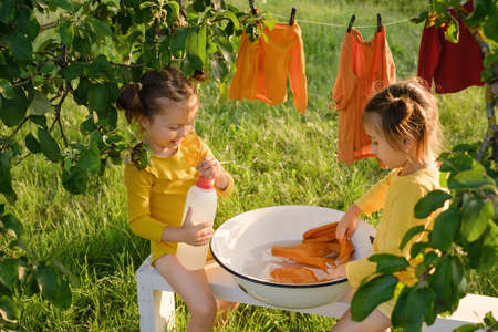 Two girls are washing clothes in a bowl sitting under a tree in the garden. The child pours the detergent for washing colored clothes into the water. Clothes dry on a clotheslineの写真素材