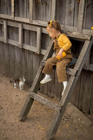 A girl in everyday village clothes sits on a high step of a wooden staircase and looks down at a domestic gray-red kitten. A three-mated non-pedigree kitten. International Homeless Animals Dayの写真素材