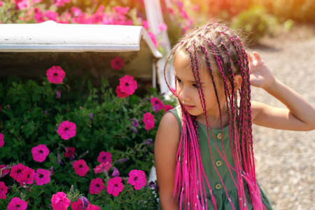 A beautiful cute girl with pink Afro-pigtails from kanekalon stands in front of a flower bed with flowers. a warm summer day. Petunia flowers with a pronounced sweet smell. zizi pigtails.の写真素材