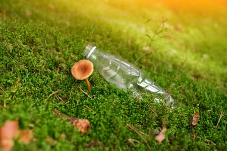 In the moss next to the mushroom there is a plastic bottle thrown away by a person, littering nature. The concept of environmental protection. Harm from plastic products. Non-degradable garbageの写真素材