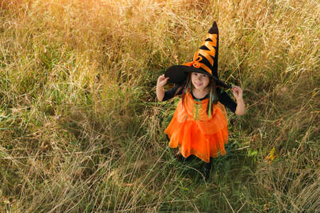 A girl in a witch costume is standing in the dry grass and holding her huge black hat with her hands. The tradition of dressing up for Halloween. Seasonal salesの写真素材