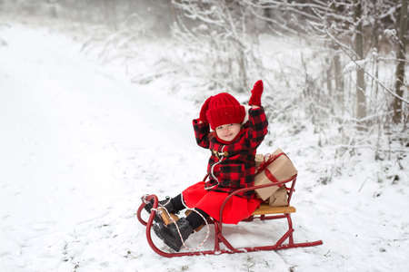 A child in a red plaid coat is sitting in a sleigh with Christmas gifts and laughing merrily with his hands up. Snowy day in the forest.の写真素材