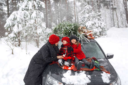 A car and a mom and daughters in the middle of the forest with a decorated Christmas tree and gifts on the hood of the automobile. A family is taking a fir tree to celebrate Christmas. Seasonal salesの写真素材