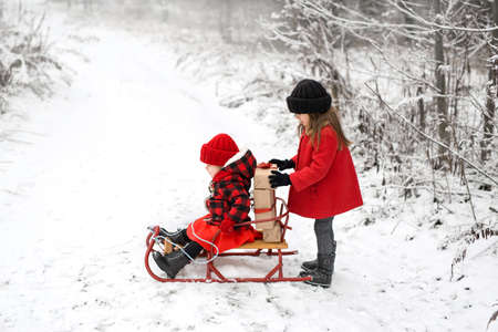 A girl puts gifts with a red ribbon in a sled where her little sister is sitting. Winter snow forest. Preparing for Christmas and New Year. Loading and delivery of giftsの写真素材