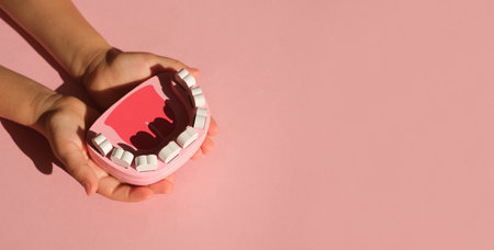 A model of a toy jaw in the hands of a child on a pink background with a copy space. Dentistry concept. Dental and gum health. Dental examination and daily self-care of the oral cavity.Baby milk teethの写真素材