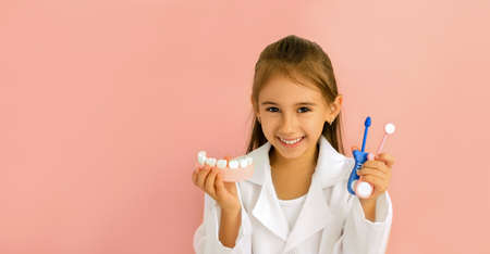 Doctor holds in his hands a model of the jaw and instruments for dental examination of the oral...