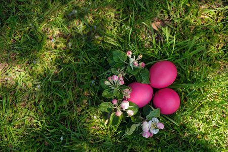 Easter eggs lie in a nest on the grass in the branches of apple blossoms. top view. sunbeams on the...