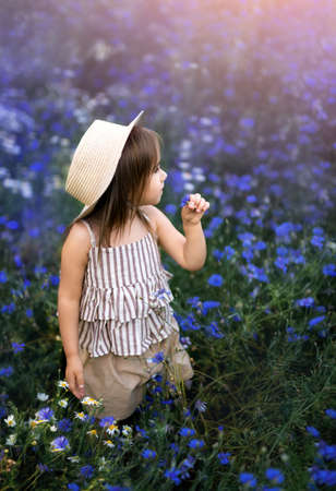 Little sweet cute girl in a hat with a flower in her hand looks away thoughtfully, standing in the middle of a meadow with bright blue spring cornflowers. Kid in a field at sunset. harmony with natureの写真素材