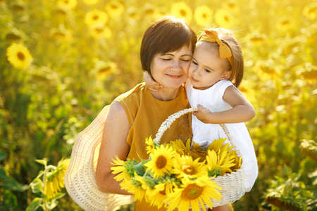 Girl hugs her grandmother holding a basket of sunflowers in hand. A grandchild with her grandma in the field at sunset. Love of kids and parents. parental care and affection. parenting. grandparents dayの写真素材