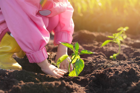A small child planting a plant in the soil. Environmental protection, renewal of vegetation on the planet. World Plant Dayの写真素材