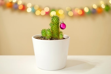 A cactus in a pot decorated with a Christmas ball on a background of blurred bokeh lights. An alternative to the Christmas tree. New Year's preparations and decorations for the holidayの写真素材