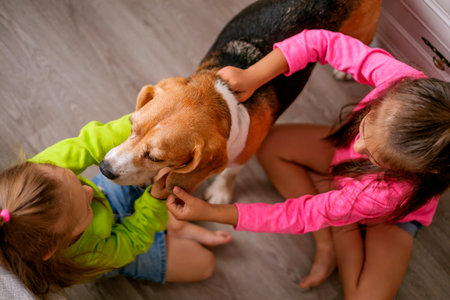 Two little sister girls play with a dog, caressing her sitting on the floor in the room. Development of allergy to dog hair in childrenの写真素材
