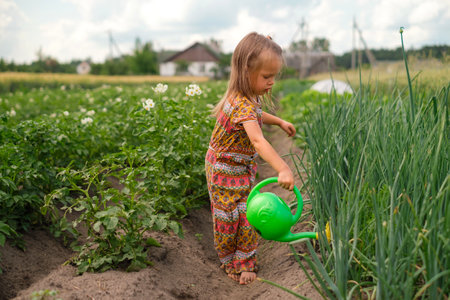 A child with a green plastic watering can is watering dried onion stalks in the garden. Growing eco-friendly products on farmland.の写真素材
