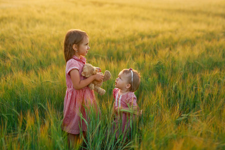 A girl holds a plush toy bear in hands while standing next to little sister. Spiking spikelets of rye at sunset.の写真素材