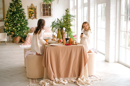 Two little assistant girls help decorate the festive Christmas table, serve dishesの写真素材