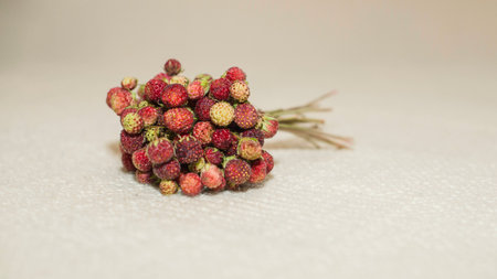 Bouquet of wild strawberryの写真素材