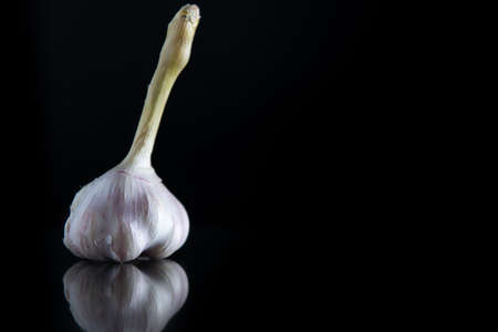 garlic with a stem on a black isolated background with copy spaceの写真素材