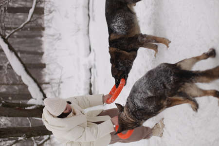 a girl in a white jacket playing with dogsの写真素材