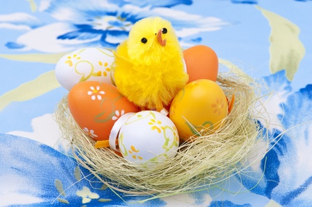 Easter eggs  and chicken in a nestの写真素材