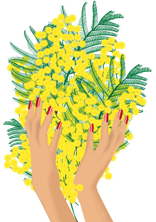 graphic illustration of a mimosaの写真素材